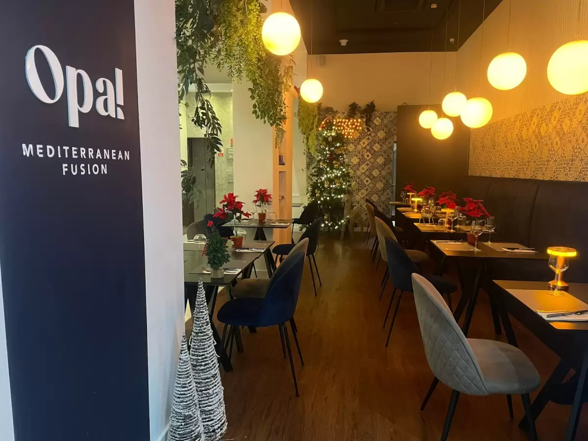 Opa! Mediterranean Fusion